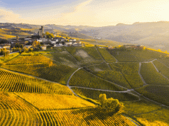 Lascia perdere il Chianti: questa regione vinicola del Piemonte è il paradiso segreto del Barolo