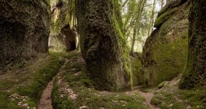 Esplora le Vie Cave: antiche strade etrusche scavate nel tufo della Toscana