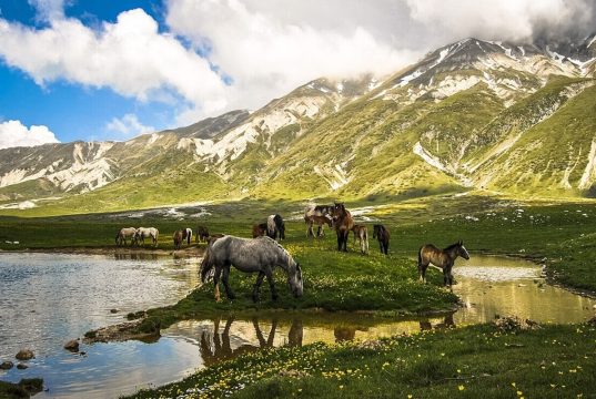 Scopri gli altipiani selvaggi dell’abruzzo: un habitat naturale per i lupi simile alle highlands scozzesi